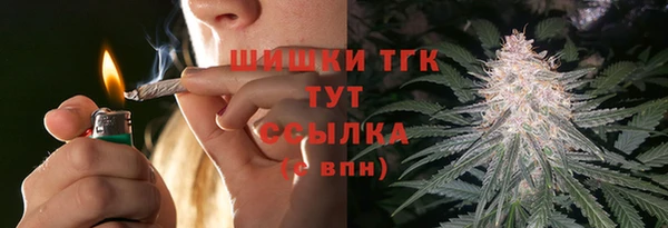 шишки Баксан