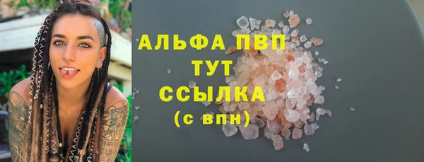 шишки Баксан