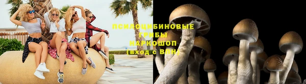 шишки Баксан