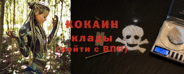 шишки Баксан