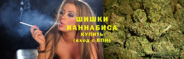 шишки Баксан